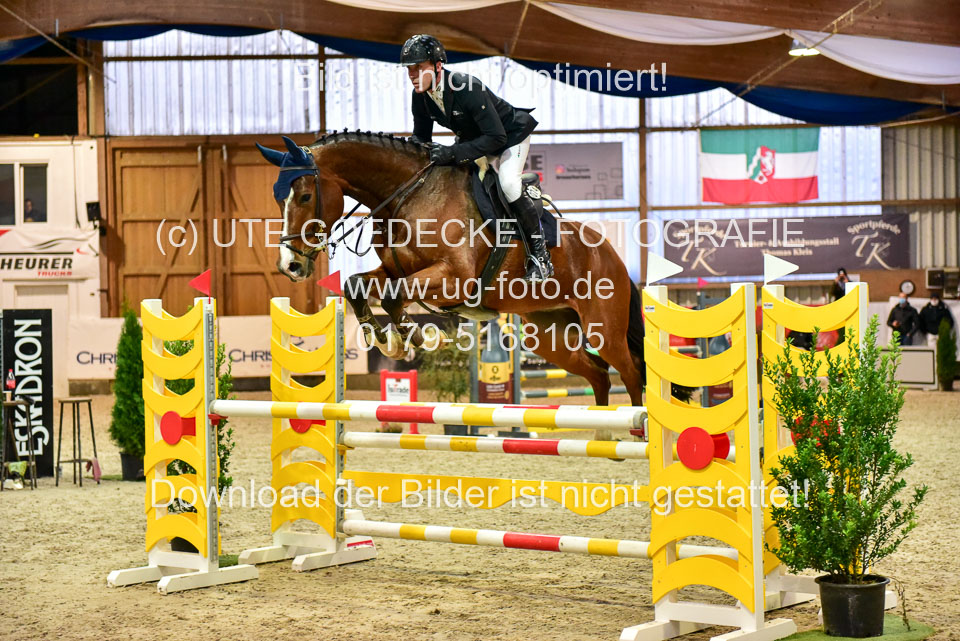 17112020-Springpferde-L-52.jpg
