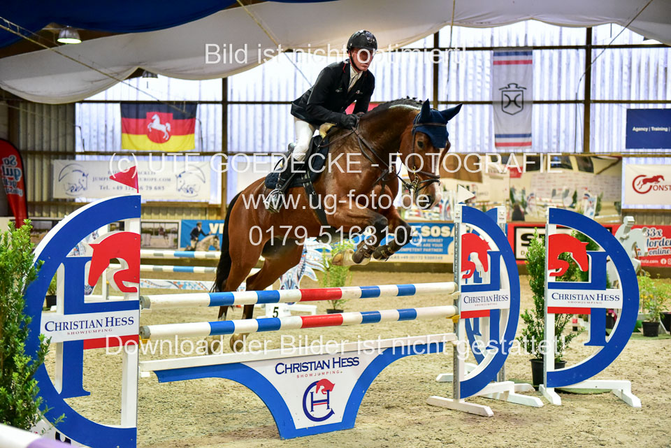 17112020-Springpferde-L-53.jpg