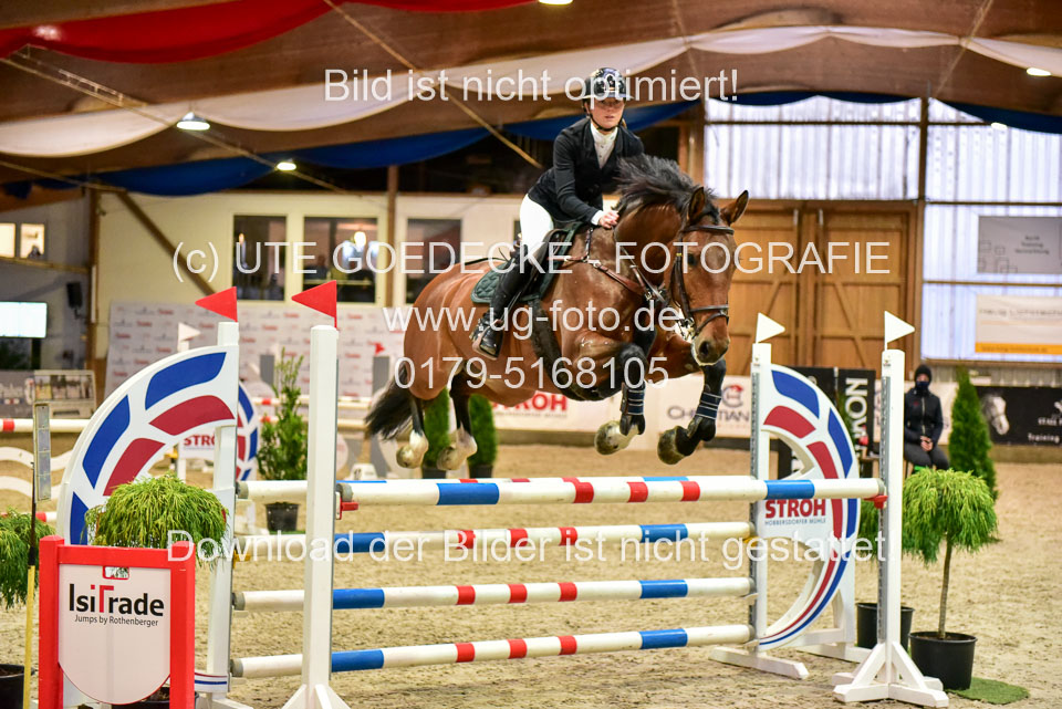 17112020-Springpferde-L-55.jpg