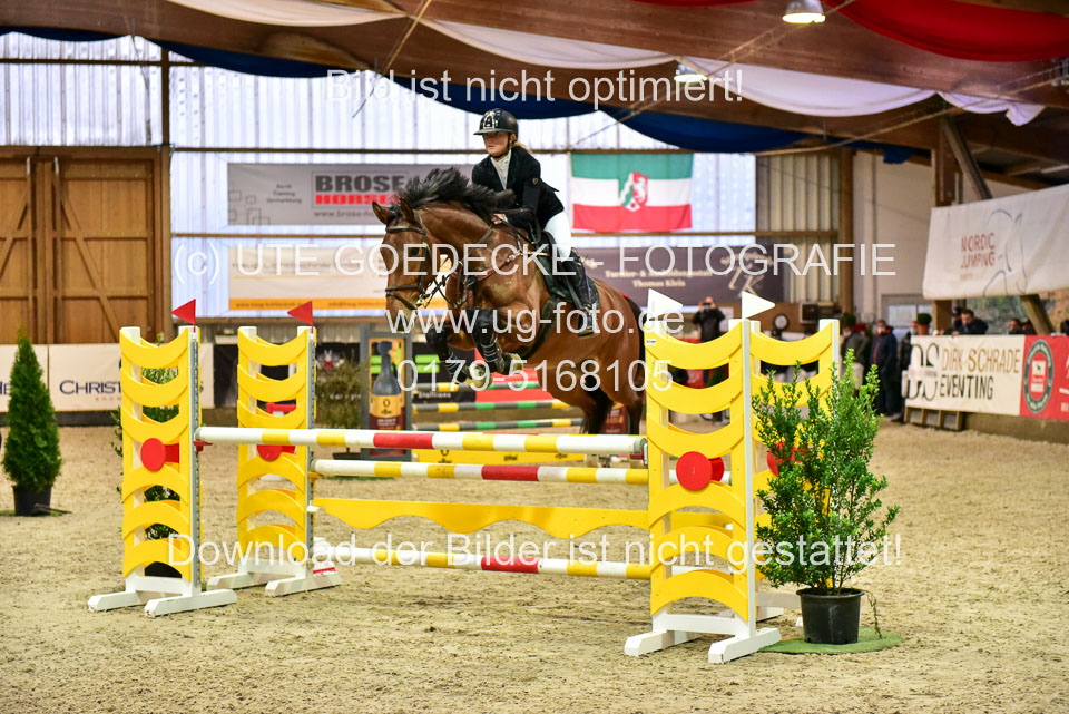 17112020-Springpferde-L-56.jpg