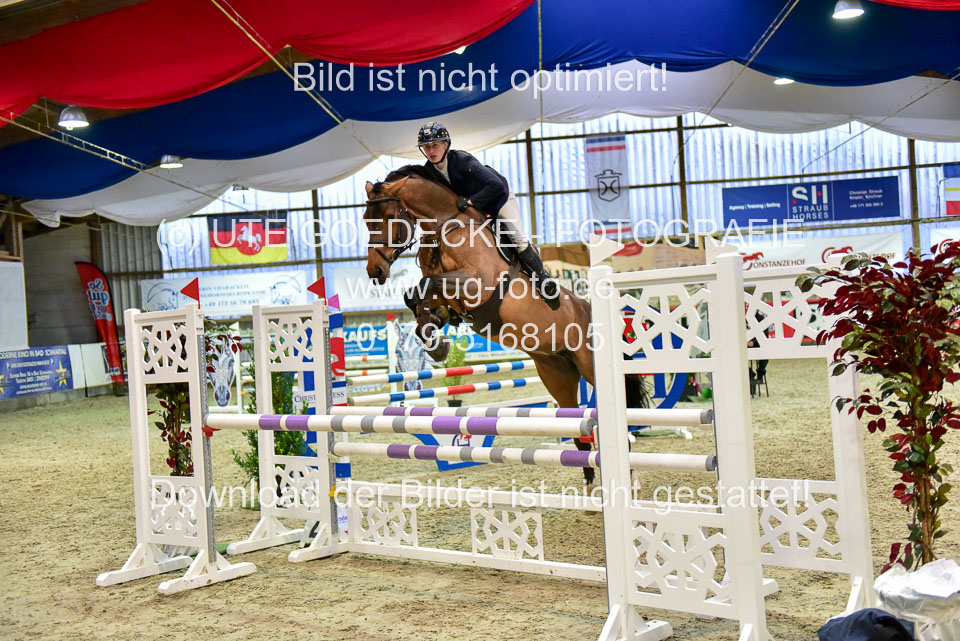 17112020-Springpferde-L-58.jpg