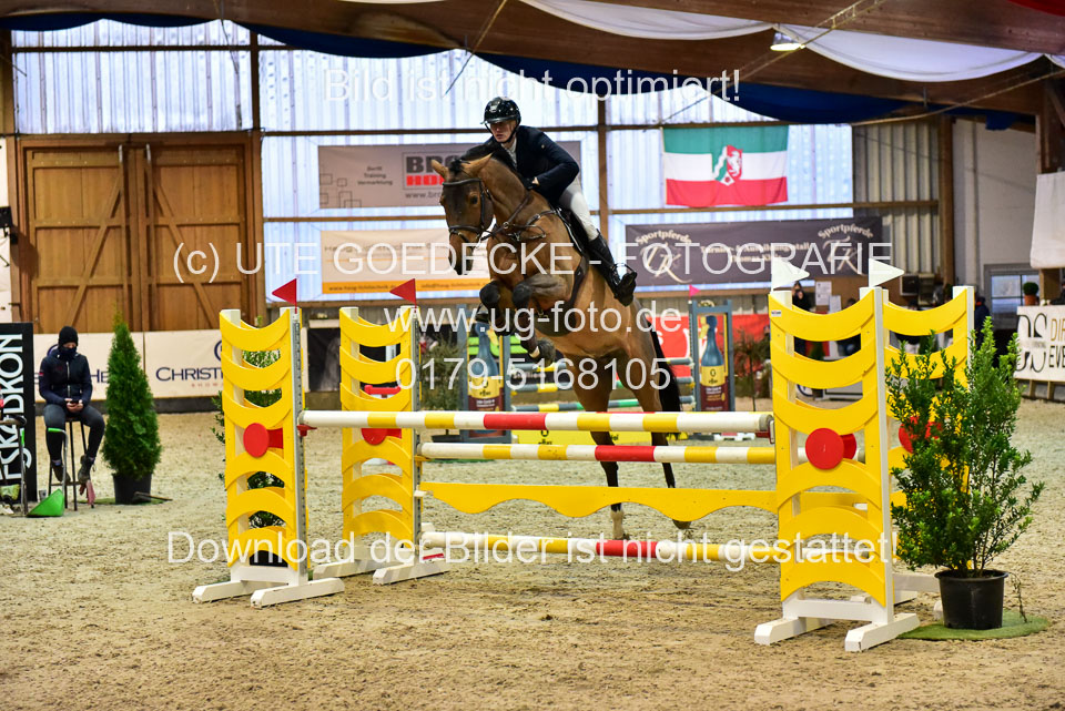 17112020-Springpferde-L-60.jpg