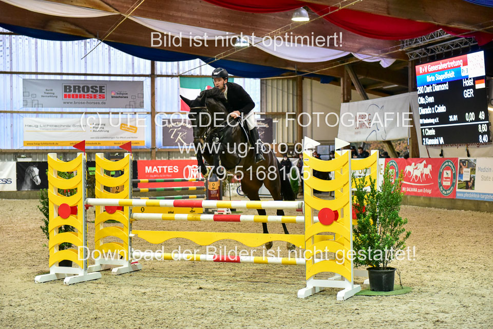 17112020-Springpferde-L-63.jpg