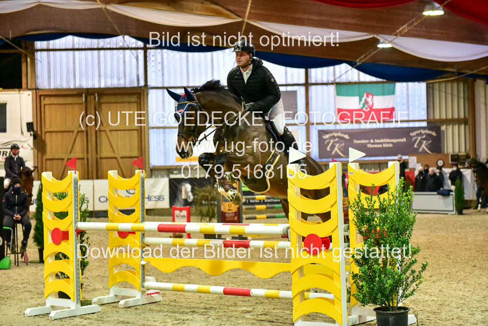 17112020-Springpferde-L-67.jpg
