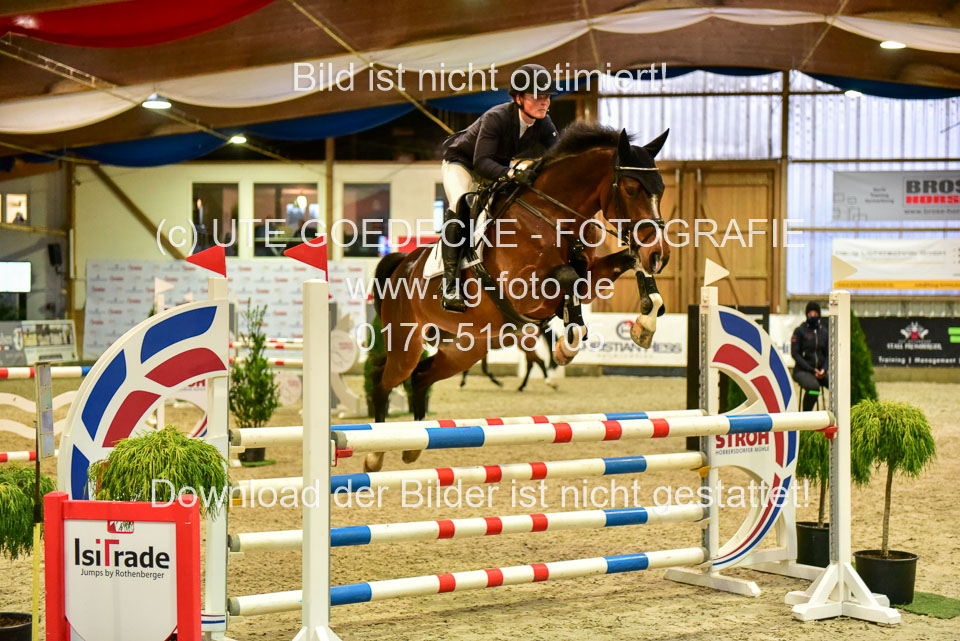 17112020-Springpferde-L-69.jpg