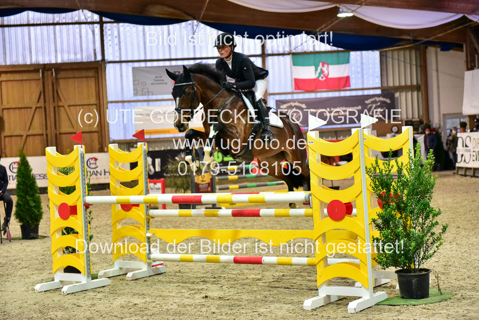 17112020-Springpferde-L-70.jpg