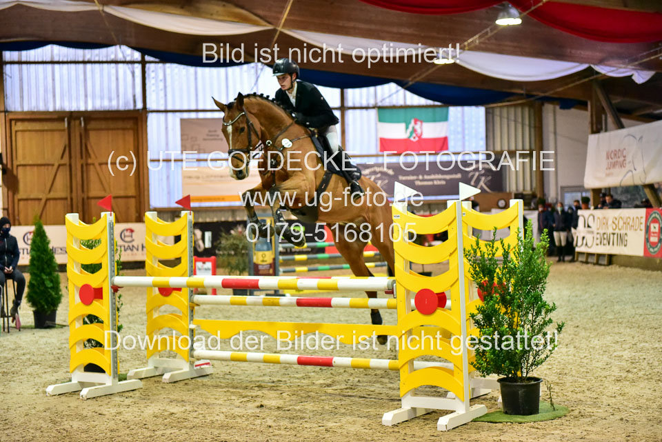 17112020-Springpferde-L-73.jpg