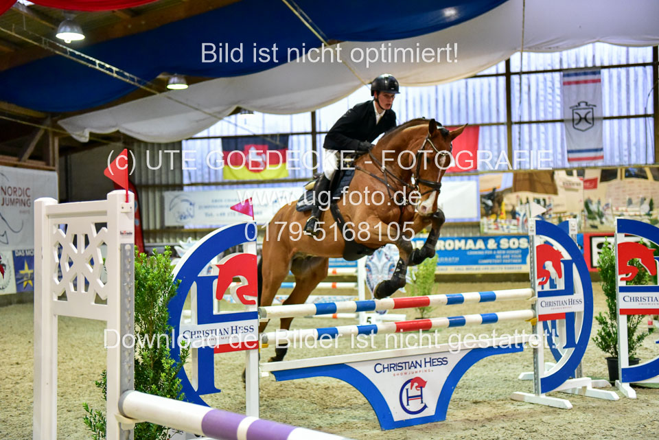 17112020-Springpferde-L-74.jpg