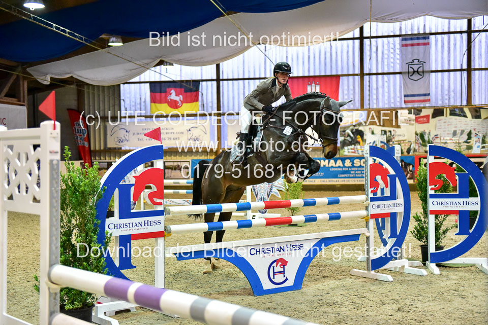 17112020-Springpferde-L-76.jpg
