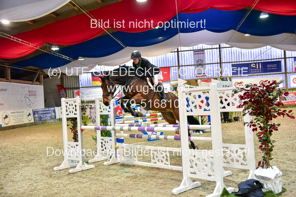 17112020-Springpferde-L-77.jpg