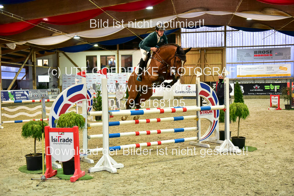 17112020-Springpferde-L-81.jpg