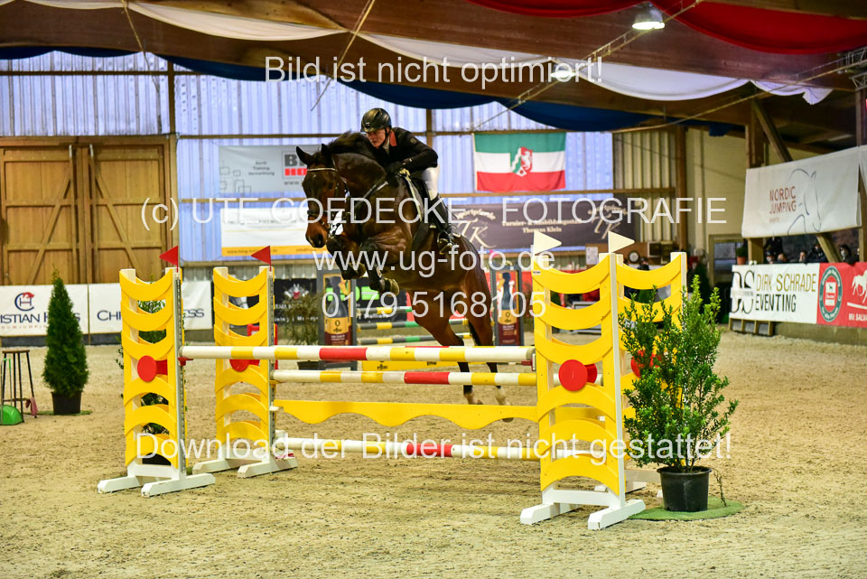 17112020-Springpferde-L-86.jpg