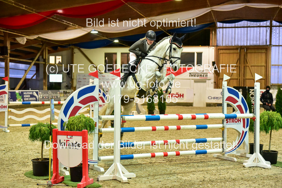 17112020-Springpferde-L-88.jpg