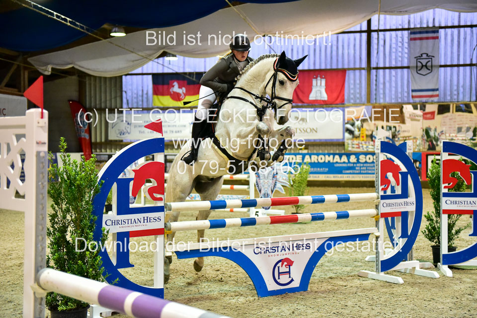 17112020-Springpferde-L-90.jpg