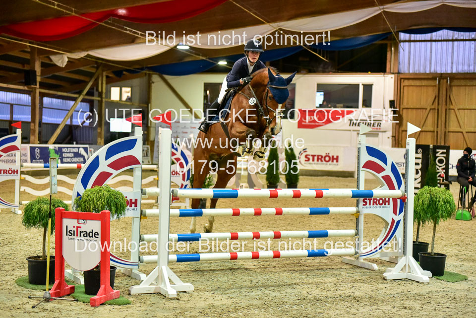 17112020-Springpferde-L-91.jpg