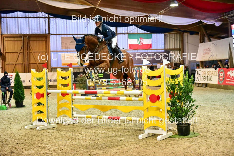17112020-Springpferde-L-92.jpg
