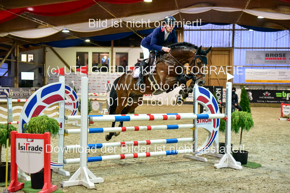 17112020-Springpferde-L-96.jpg