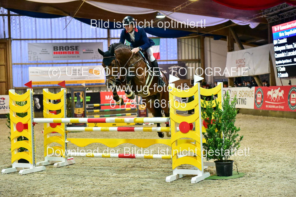 17112020-Springpferde-L-97.jpg