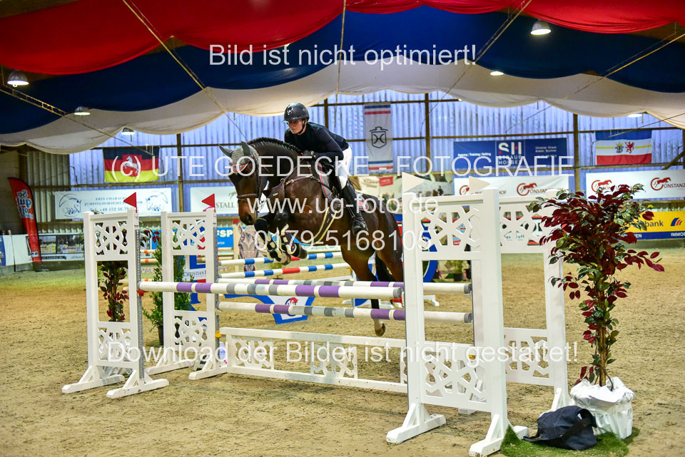 17112020-Springpferde-L-98.jpg