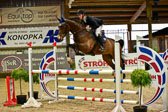 17112020-Springpferde-L-1.jpg