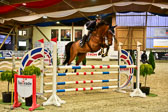 17112020-Springpferde-L-101.jpg