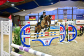 17112020-Springpferde-L-106.jpg