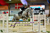17112020-Springpferde-L-11.jpg