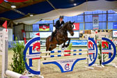 17112020-Springpferde-L-113.jpg