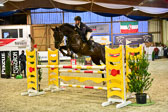 17112020-Springpferde-L-115.jpg