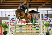 17112020-Springpferde-L-13.jpg