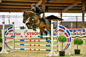 17112020-Springpferde-L-15.jpg