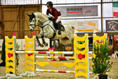 17112020-Springpferde-L-4.jpg