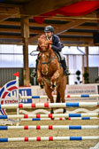 17112020-Springpferde-L-8.jpg