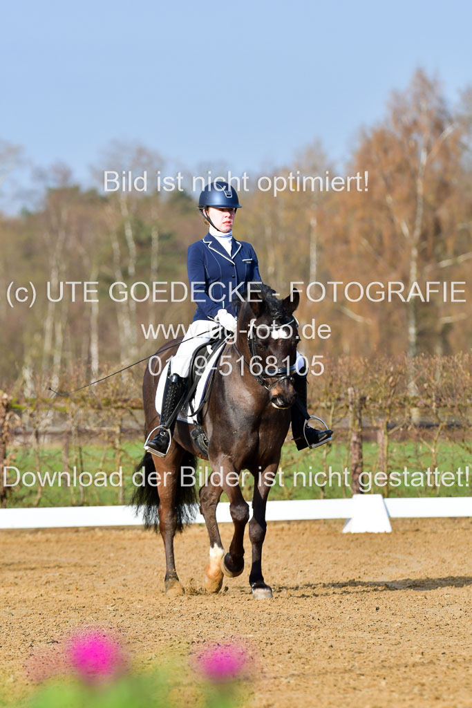 Reitsportzentrum Bremervörde | 10421 Dressur L Tr_001 