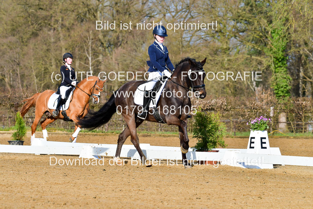 Reitsportzentrum Bremervörde | 10421 Dressur L Tr_010 