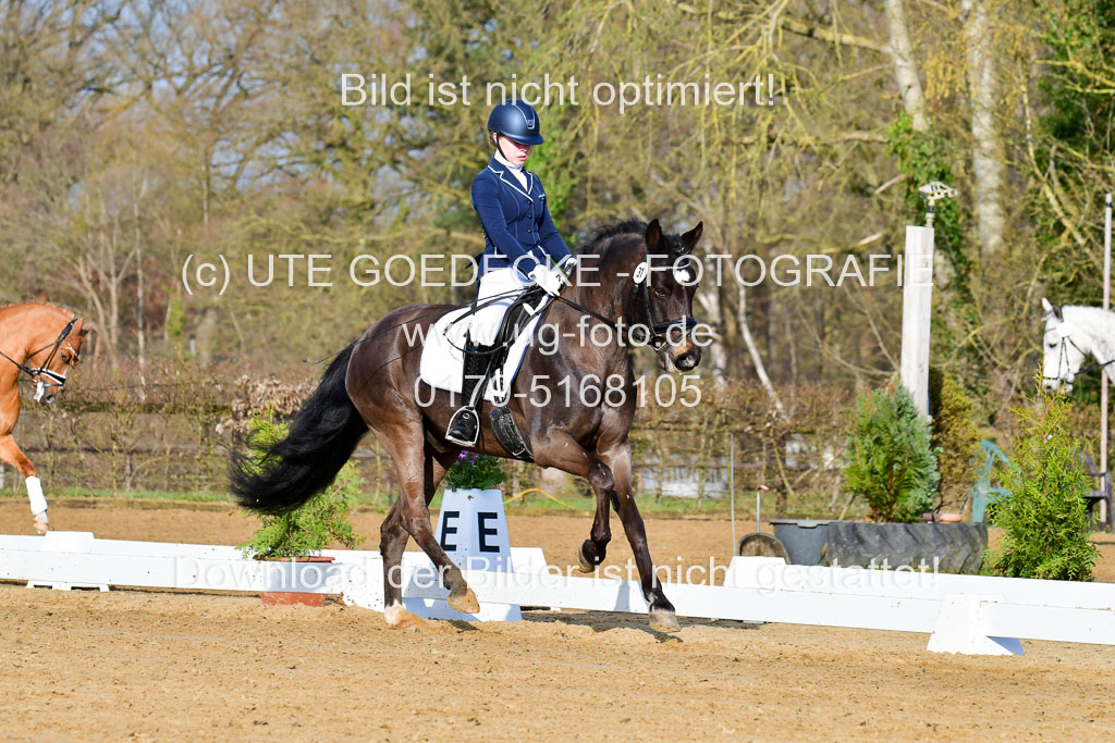 Reitsportzentrum Bremervörde | 10421 Dressur L Tr_011 