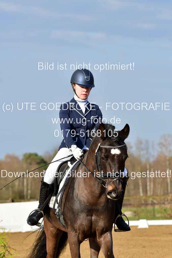 Reitsportzentrum Bremervörde | 10421 Dressur L Tr_012 