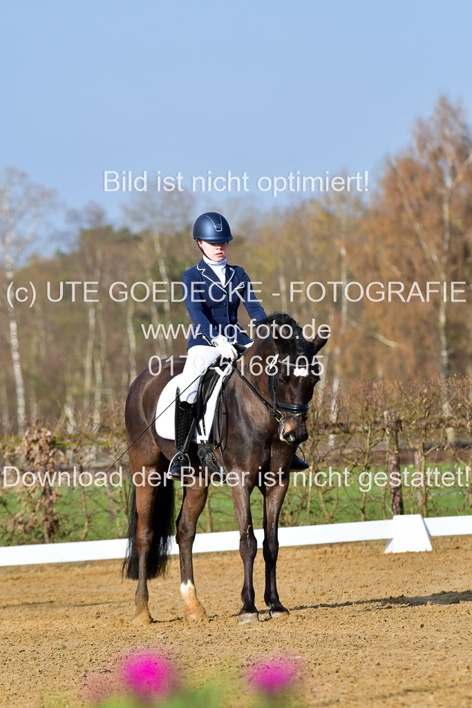 Reitsportzentrum Bremervörde | 10421 Dressur L Tr_013 