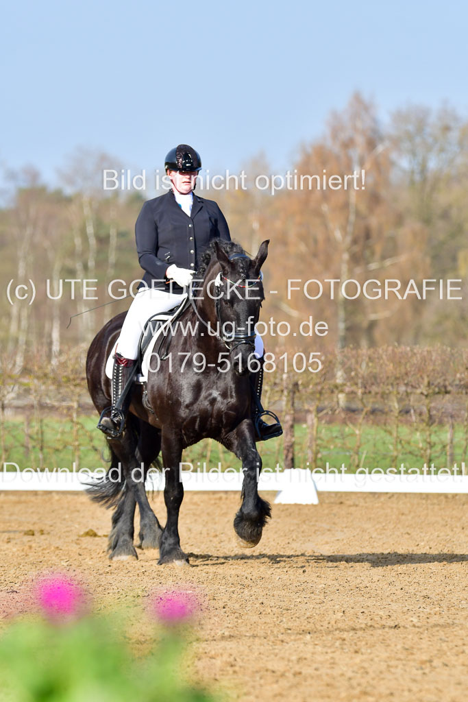 Reitsportzentrum Bremervörde | 10421 Dressur L Tr_017 