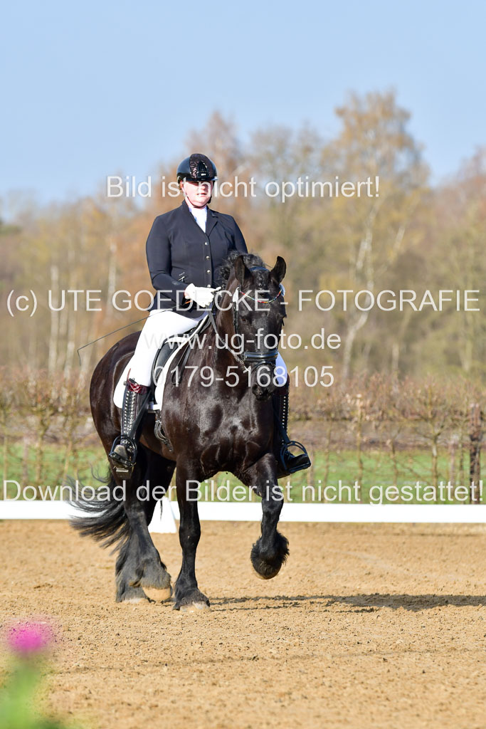 Reitsportzentrum Bremervörde | 10421 Dressur L Tr_019 