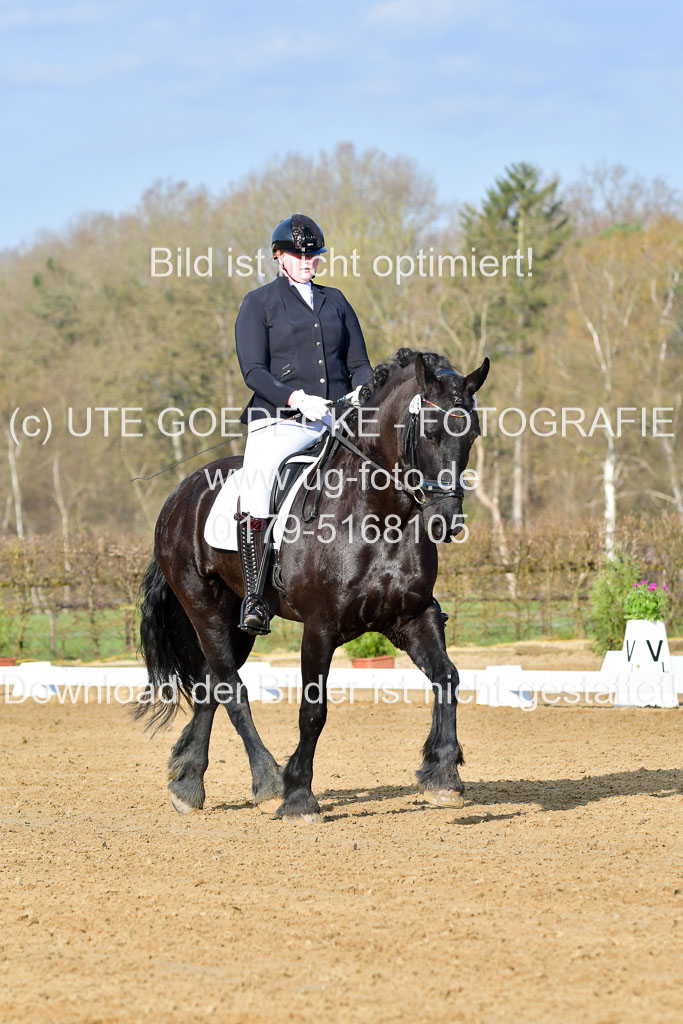 Reitsportzentrum Bremervörde | 10421 Dressur L Tr_020 