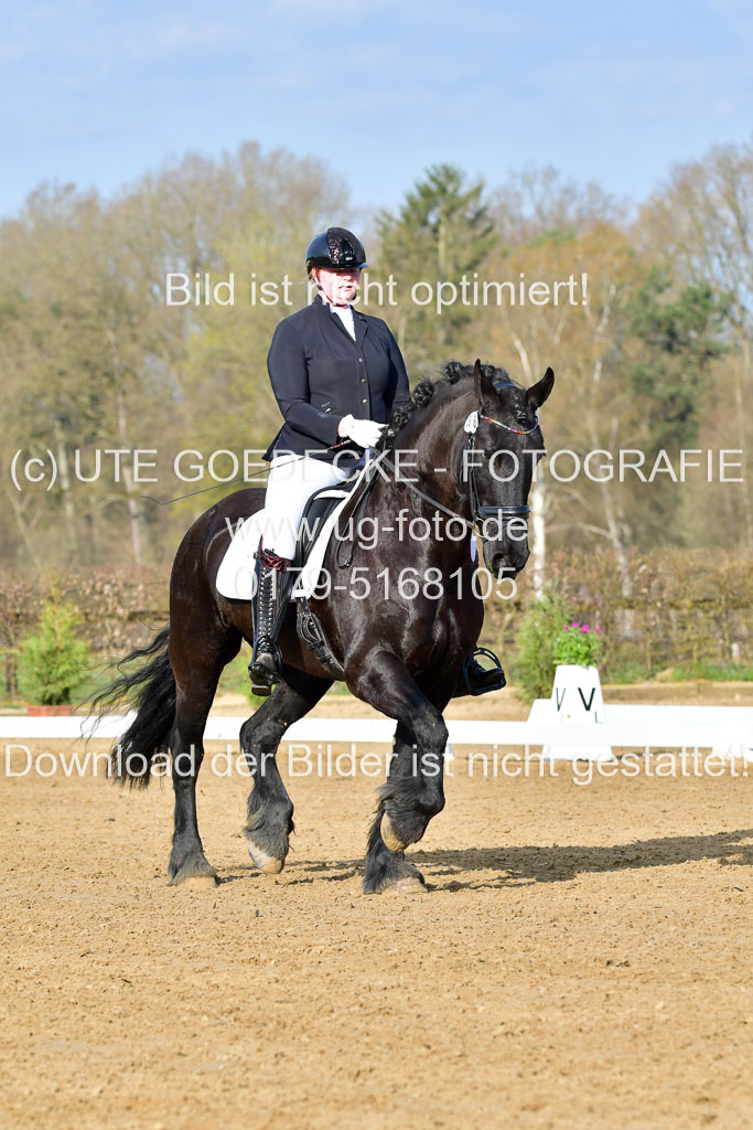 Reitsportzentrum Bremervörde | 10421 Dressur L Tr_021 