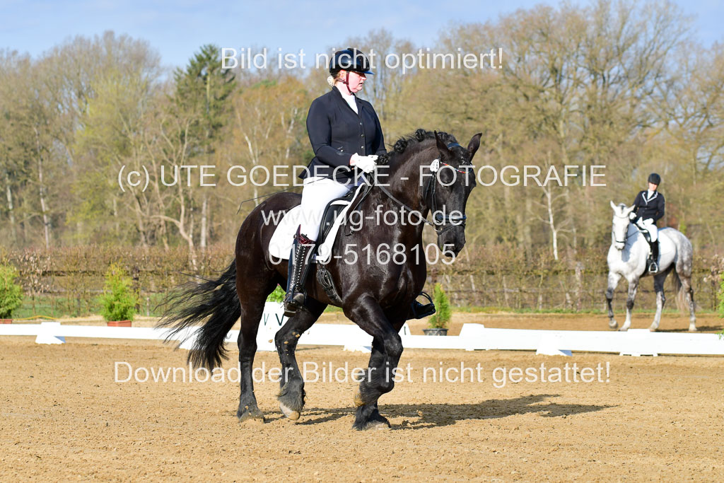 Reitsportzentrum Bremervörde | 10421 Dressur L Tr_022 