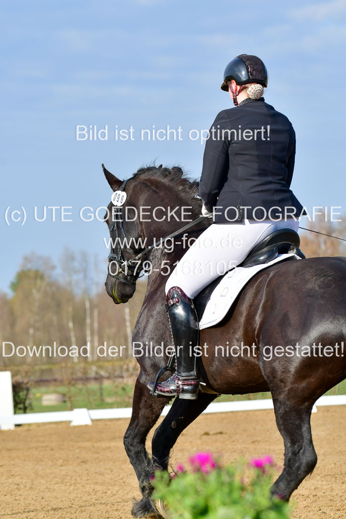 Reitsportzentrum Bremervörde | 10421 Dressur L Tr_027 
