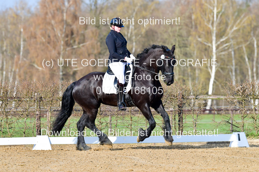 Reitsportzentrum Bremervörde | 10421 Dressur L Tr_029 