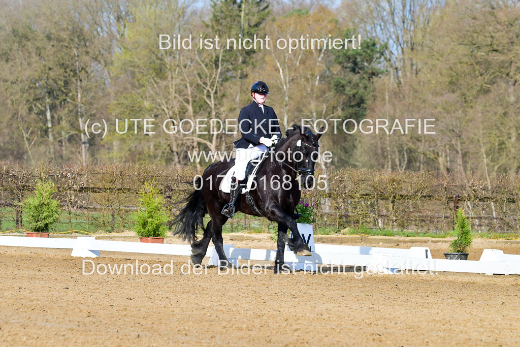 Reitsportzentrum Bremervörde | 10421 Dressur L Tr_031 