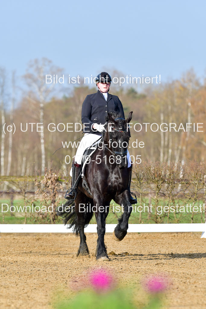 Reitsportzentrum Bremervörde | 10421 Dressur L Tr_033 