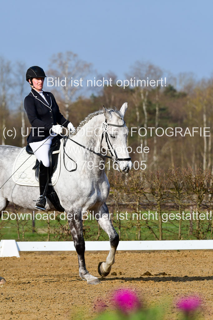 Reitsportzentrum Bremervörde | 10421 Dressur L Tr_041 