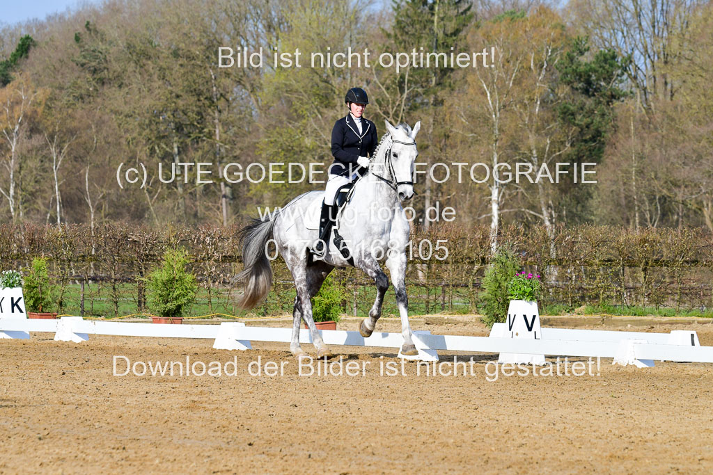 Reitsportzentrum Bremervörde | 10421 Dressur L Tr_045 