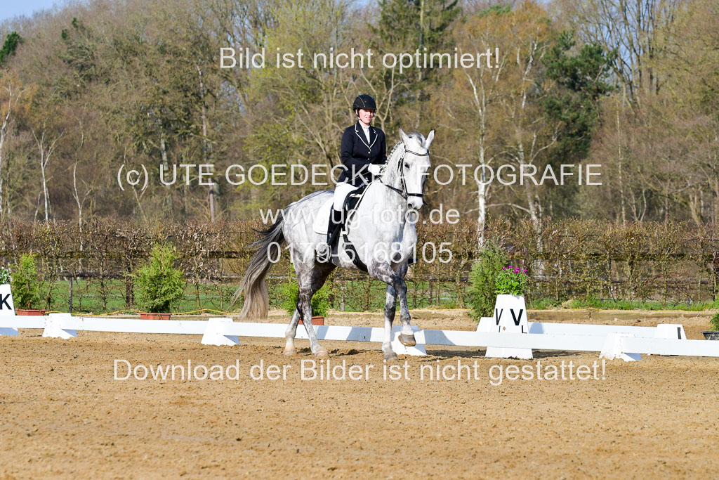 Reitsportzentrum Bremervörde | 10421 Dressur L Tr_046 